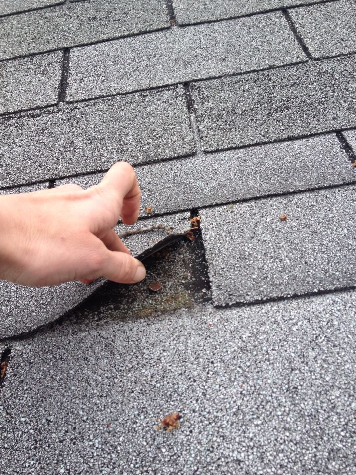 Roof pics